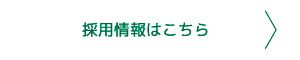 採用情報はこちら